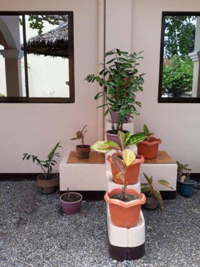 Anekha'S Guest Room Moalboal Exterior photo